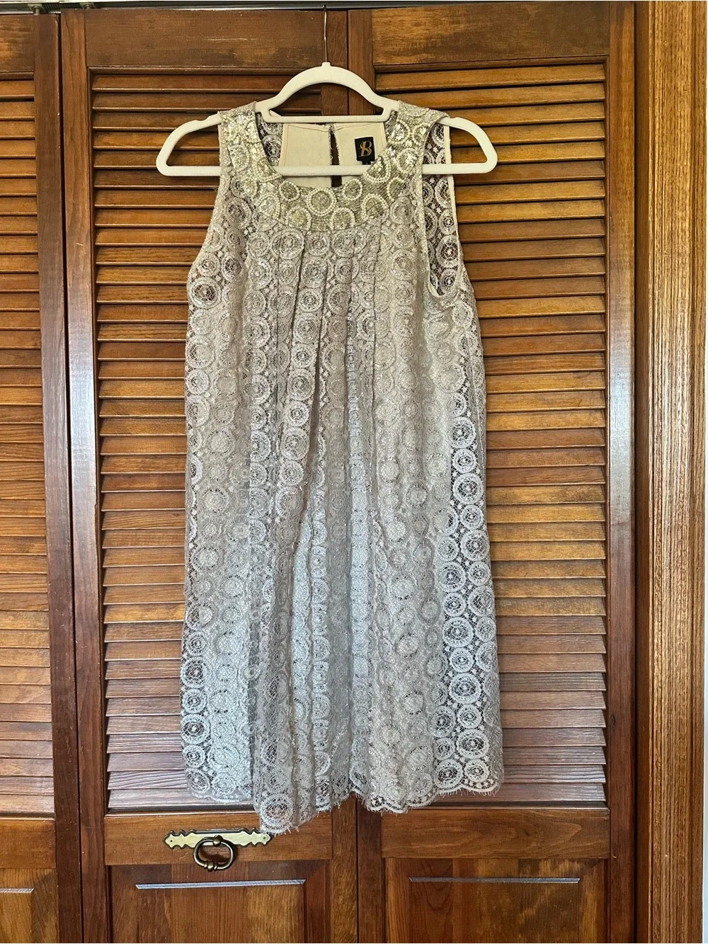 Sachin + Babi for Anthropologie Joyeux champagne silver metallic swing dress - Picture 3 of 11